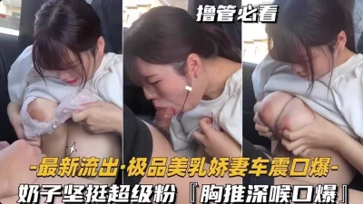 车震乳爆极品人妻（完整版看间芥）